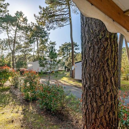 Mobil Home La Palmyre レ・マトゥ エクステリア 写真