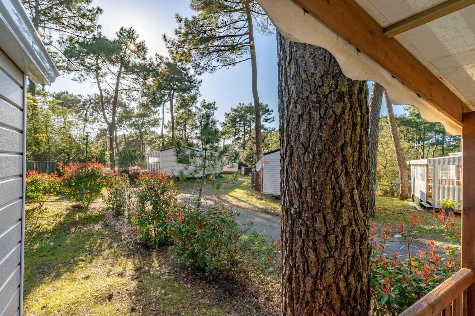 Mobil Home La Palmyre レ・マトゥ エクステリア 写真